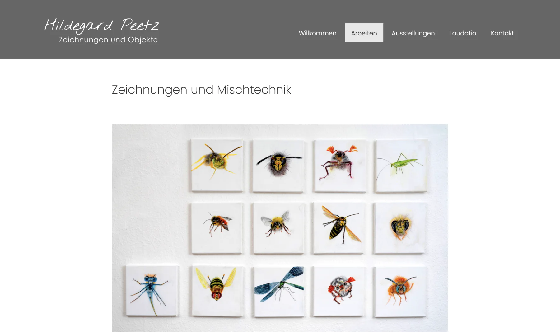 Bildschirmansicht des Künstlerportfolios von Hildegard Peetz